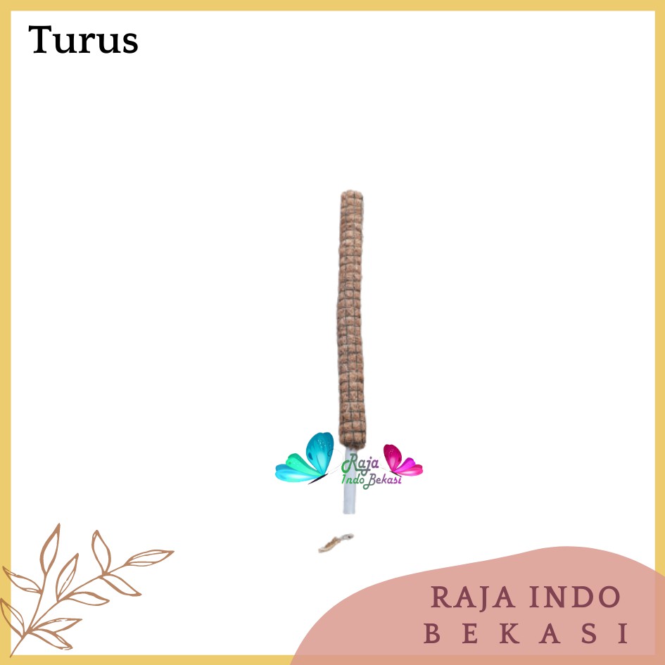 Turus Pipa Ulir 50 60 80 90 Cm Turus Sabut Kelapa Penyangga Tanaman Rambat 100cm Bkn Turus Lumut