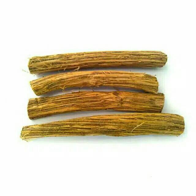 Kayu akar kuning asli Kalimantan