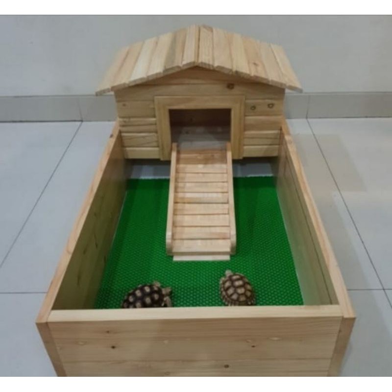 Rumah Kura Kura Torto Sulcata