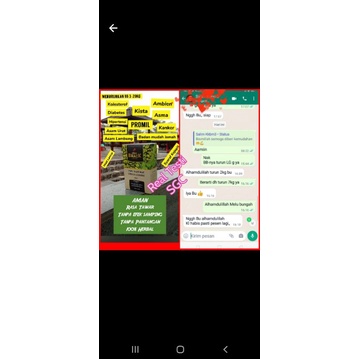 

green coffe pelangsing herbal