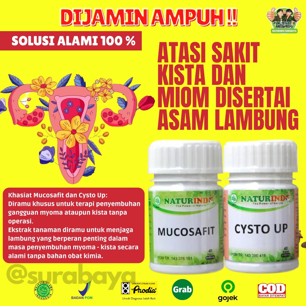 Obat Sakit Asam Lambung Maag Begah Sendawa Obat Herbal Sakit Maag Obat Asam Lambung Maag Kronis Obat Lambung Ampuh BPOM MUI Herbal MUCOSAFIT Naturindo Surabaya Obat asam lambung GERD naik maag gerd kronis tungkak lambung sakit perut mual muntah Herbal-LAMBUNG+KISTA MYOM