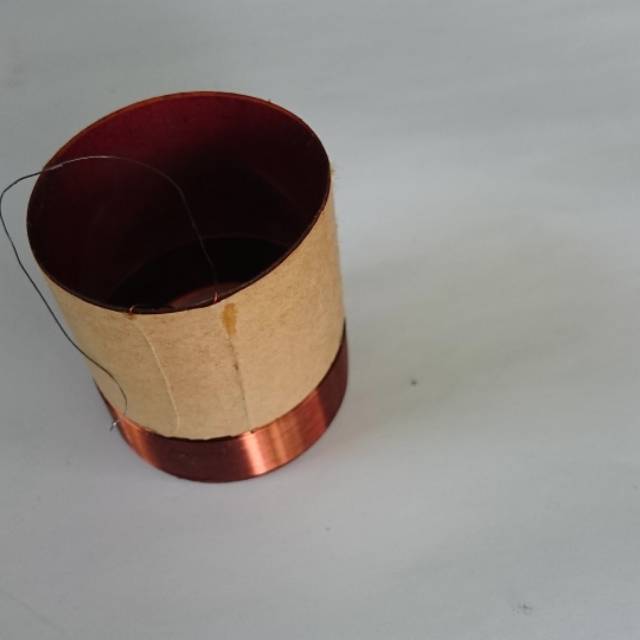 speaker philips 12 inch