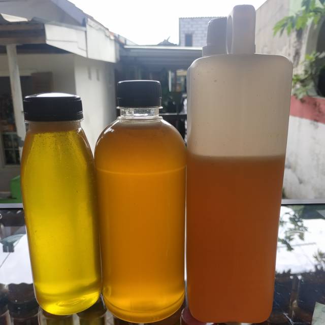 

Madu peras dan Sarang Madu