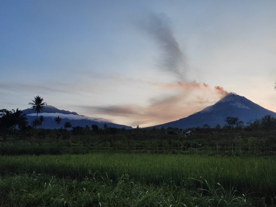 Batik Pria Lengan Panjang Premium Baju Batik Solo Murah Batik Slim Fit Batik Cowok Premium Murah