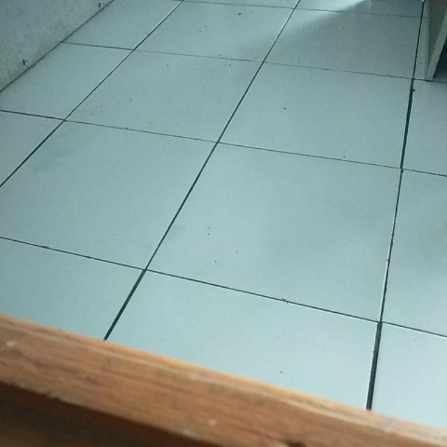 Cetakan Puding Es Batu Telur Ayam (besar) Diameter Sekitar 4 Cm