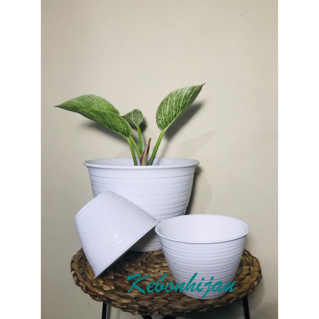 Pot tawon 10 putih / Pot tawon putih / pot grosir / pot murah