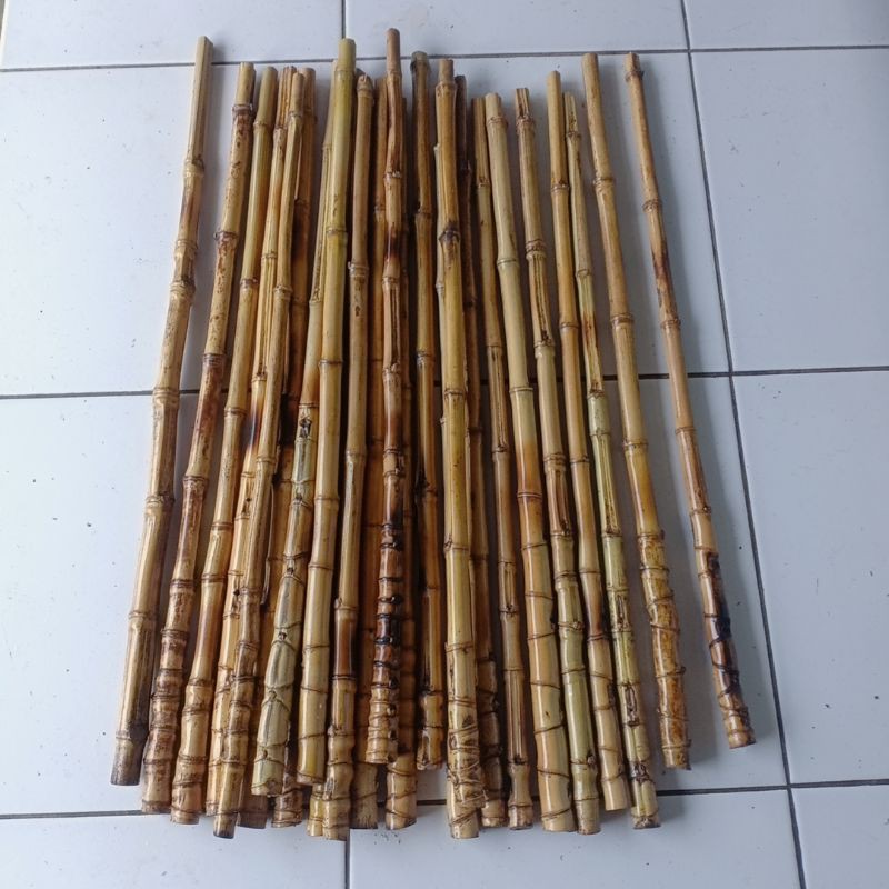 BAMBU CENDANI SUDAH DI PERNIS/MENGKILAT