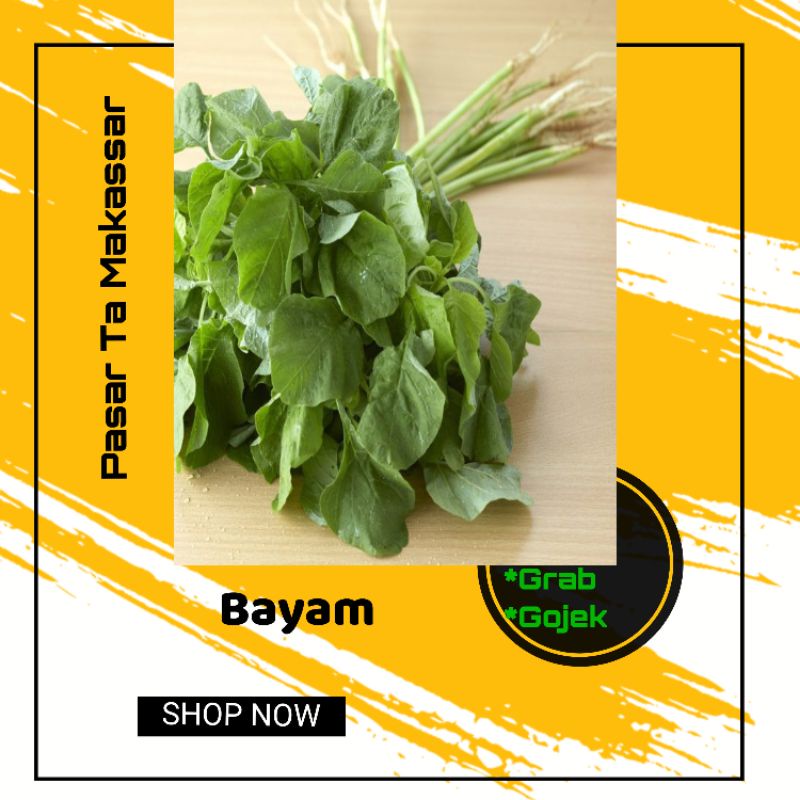 

Bayam Hijau perikat / Pasar Ta Makassar / Pasar Sayur Makassar