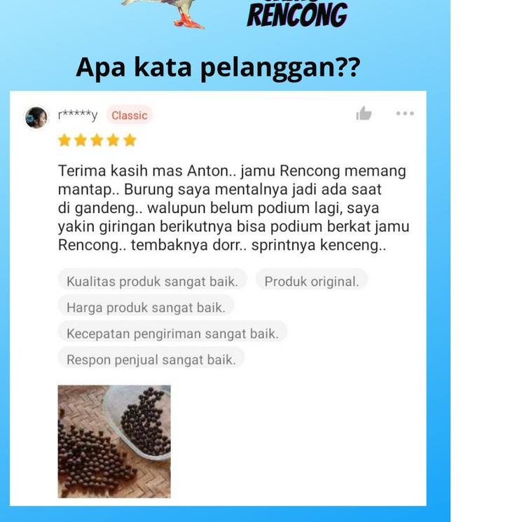 NEW  8.8 jamu pil rencong doping herbal merpati balap sprint kolong tinggian terbaik termurah untuk 