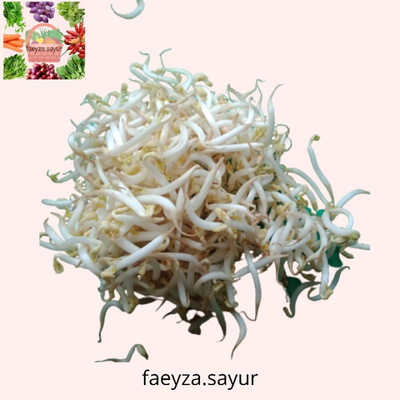 

TOGE KACANG HIJAU 250GR