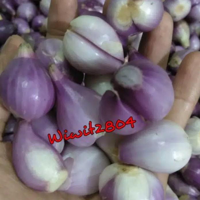 

Bawang merah brebes kupas 250g super