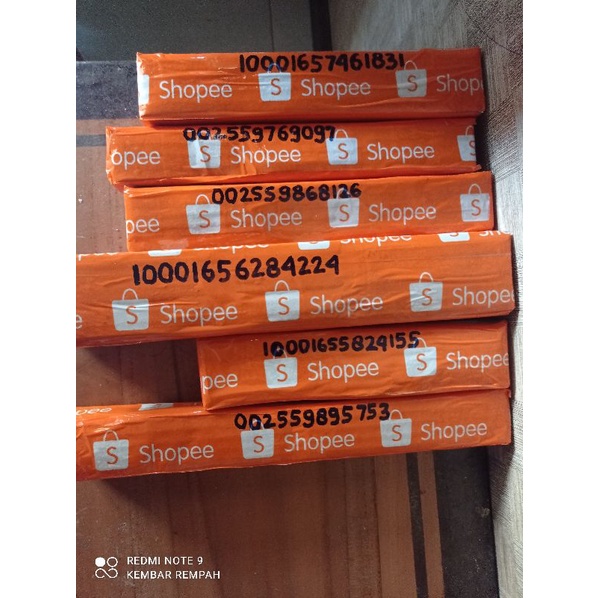 BIBIT TANAMAN HERBAL KENCUR(CIKUR)-4