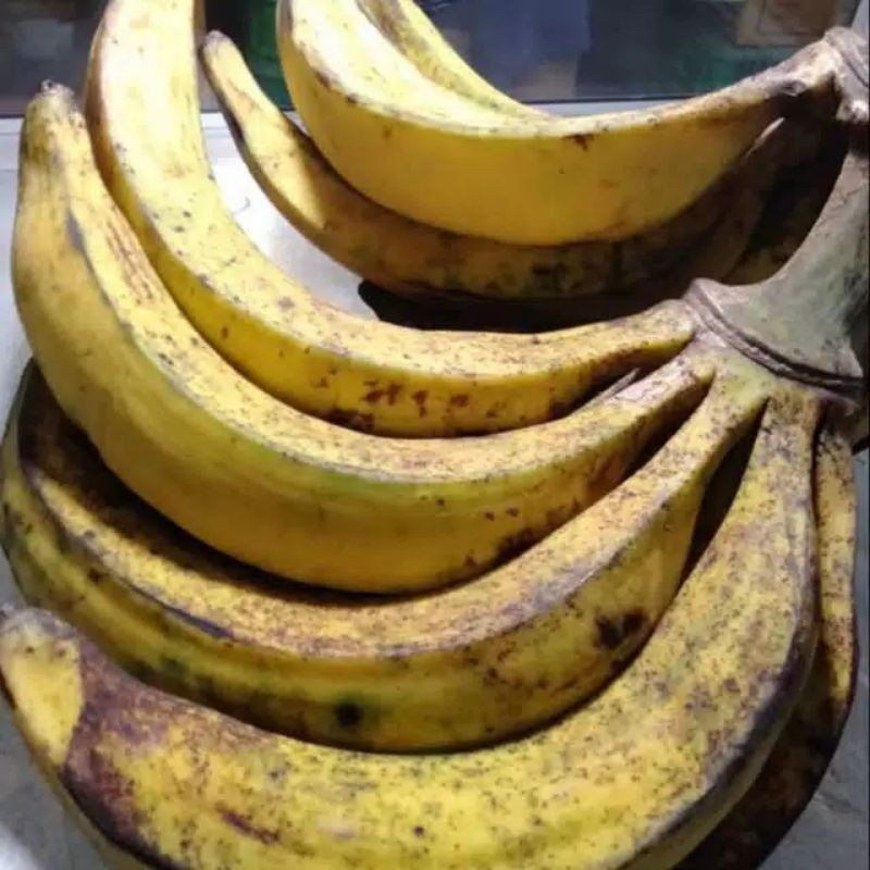 

pisang tanduk segar per biji
