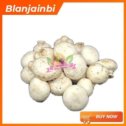 

Jamur Champignon Bandung Area