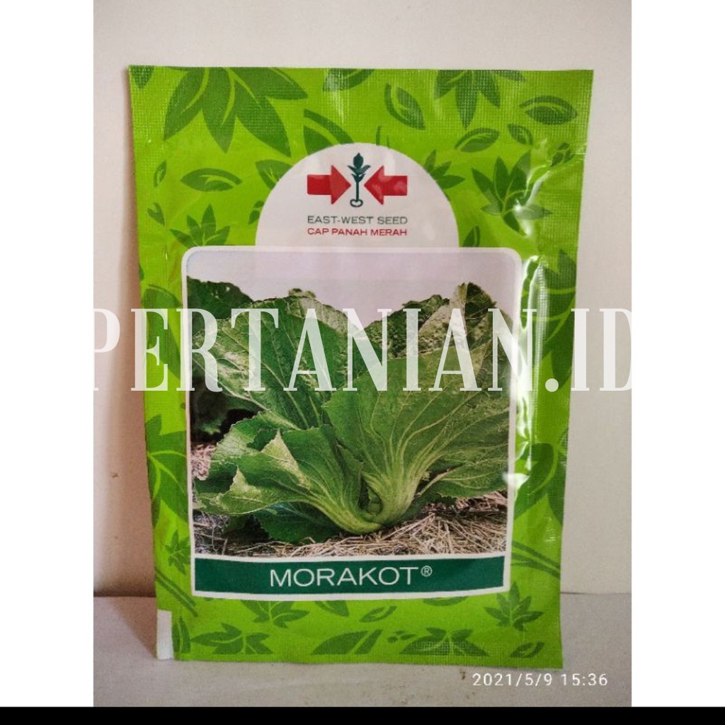 Benih Biji Sawi Pahit | Sawi Asin Morakot ~ Cap Panah Merah