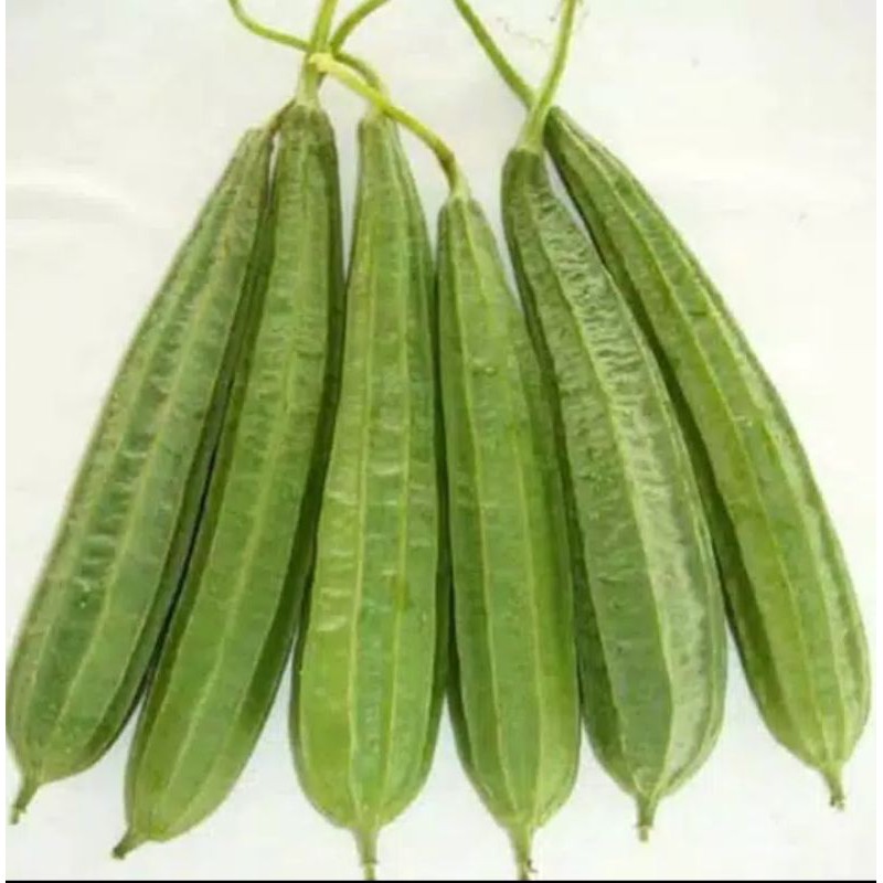 

sayur oyongHD fres per 500gram
