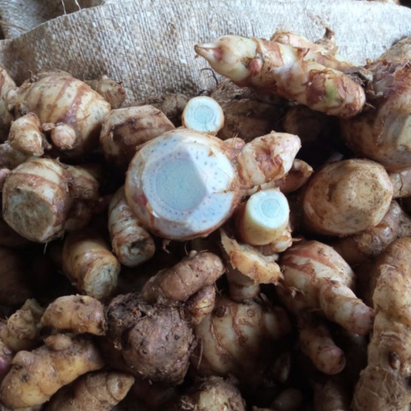 

temu ireng (Curcuma aeruginosa) DETOX 1kg