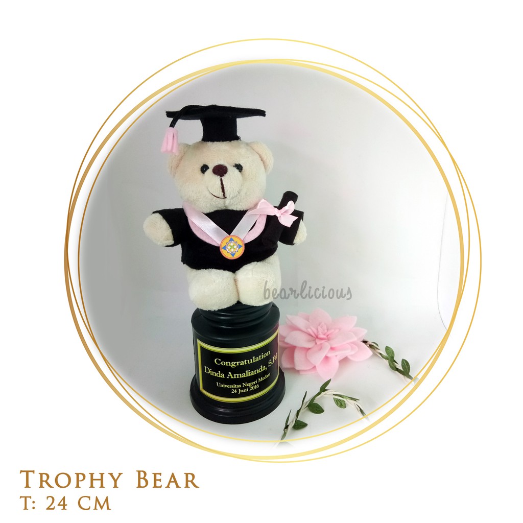 Boneka wisuda / kado wisuda / trophy wisuda