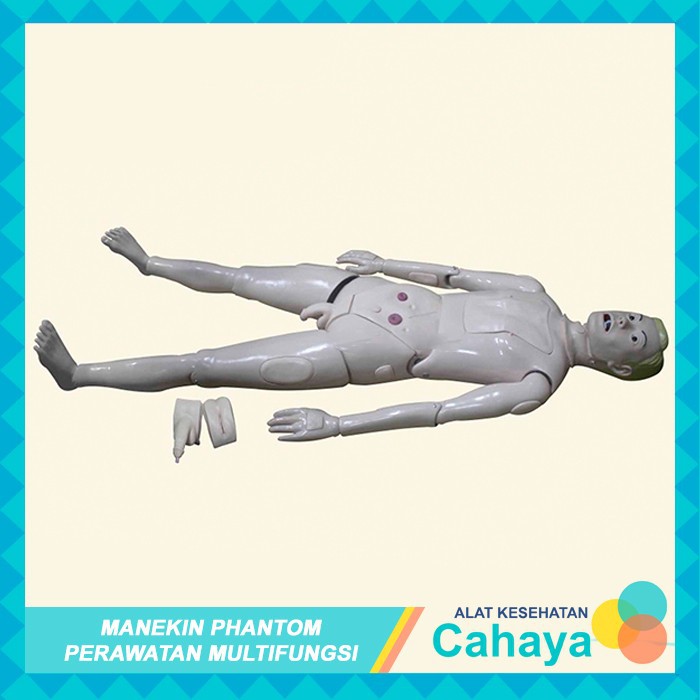 Manekin Keperawatan Full Body Nursing Multifungsi | 2 Kelamin