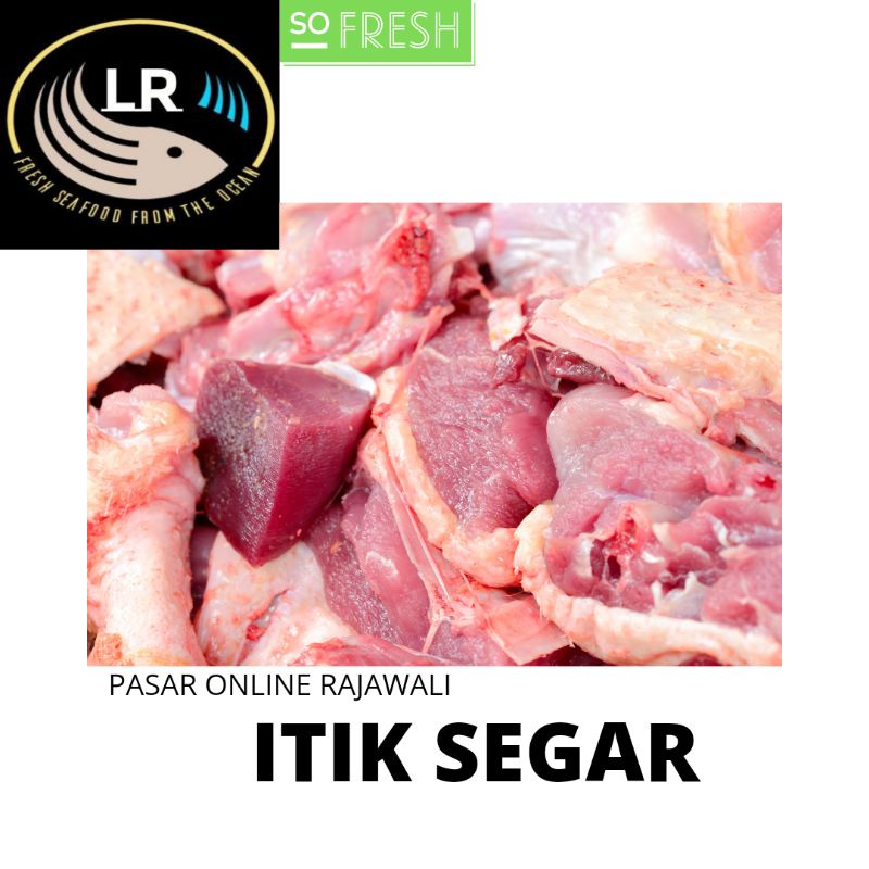 

ITIK SEGAR
