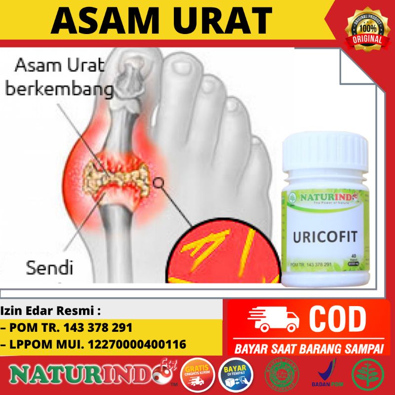 Obat Herbal asam urat paling ampuh, obat herbal atasi nyeri sendi paling ampuh, obat asam urat, obat nyeri sendi