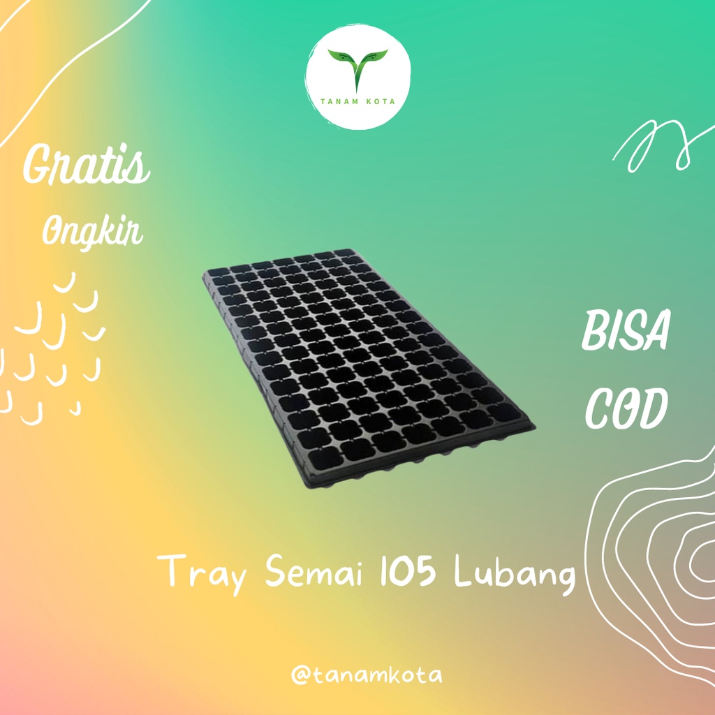 Pot Tray Semai 200 Lubang Tebal Besar Lubang 3X3 Cm Benih Bibit Cabai Cabe Perlengakapan Rumah Hidro