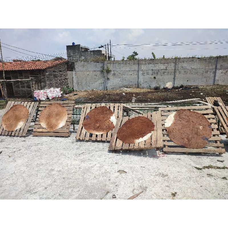 KULIT BEDUG SAPI / BEDUK SIAP PAKAI MURAH DIAMETER 85-90