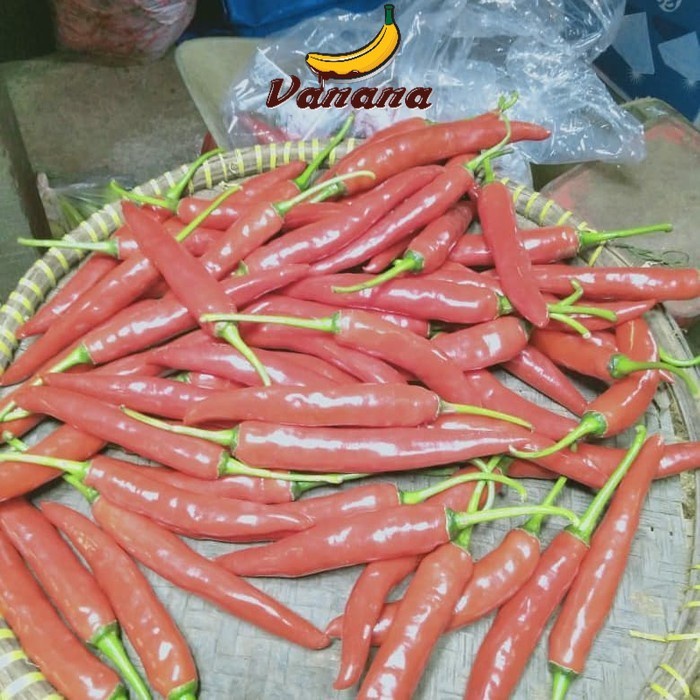 

Cabai Merah Besar Tw 1kg(1000g)