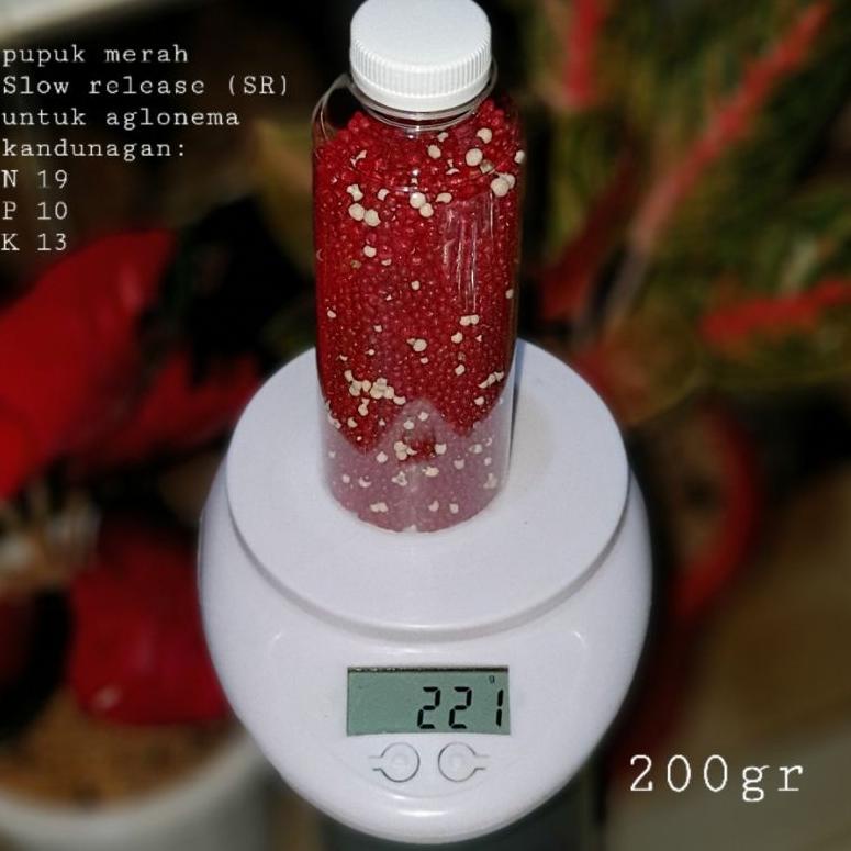Kirim Sekarang pupuk merah slow release / SR pupuk tanaman hias pupuk NPK 19 10 13 / pupuk anggrek /