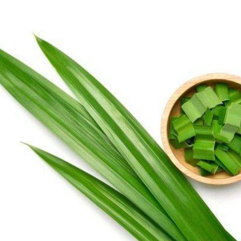 

Daun Pandan Segar per ikat Daun Pandan Wangi Pelengkap Masakan Pandan Bumbu Rempah