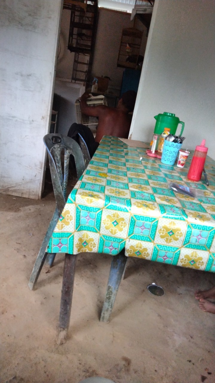 Bull Bosch Set Besi Kayu Mata Jigsaw Besi Wood Jig Saw Blade Gergaji