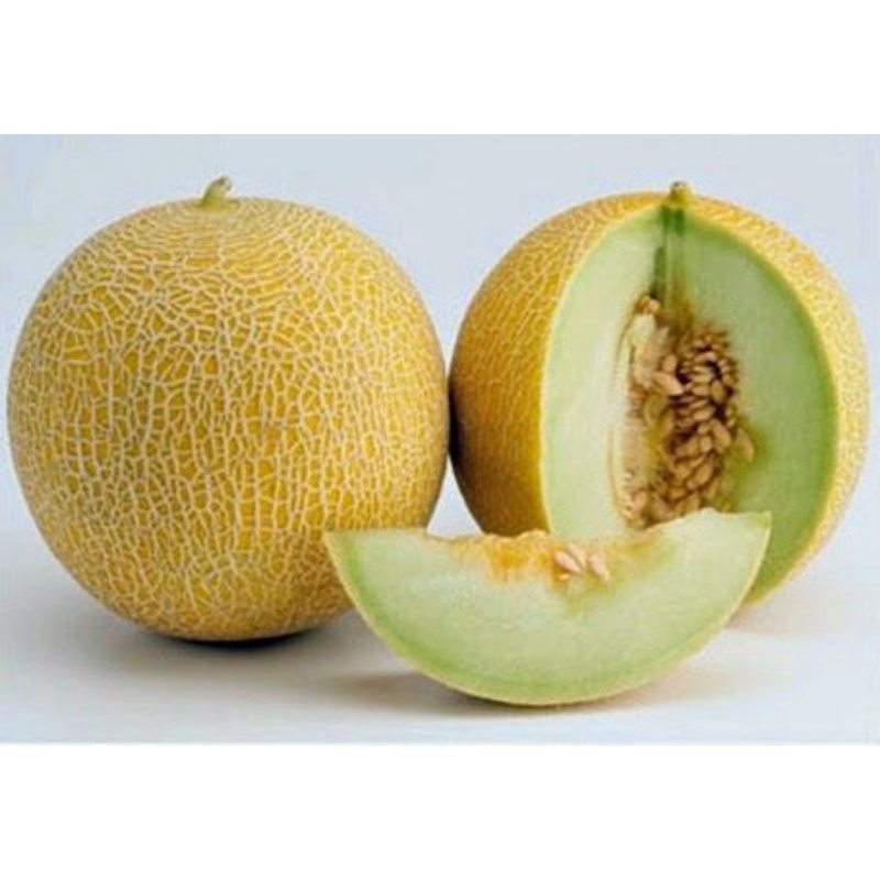 

Melon Buah Melon Segar 1.5 - 2 kg SAYUR GEDEBAGE PRAKTIS BANDUNG