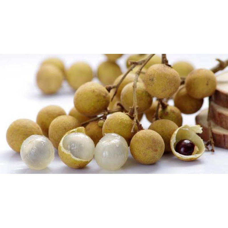 

Buah kelengkeng segar - 500 Gram