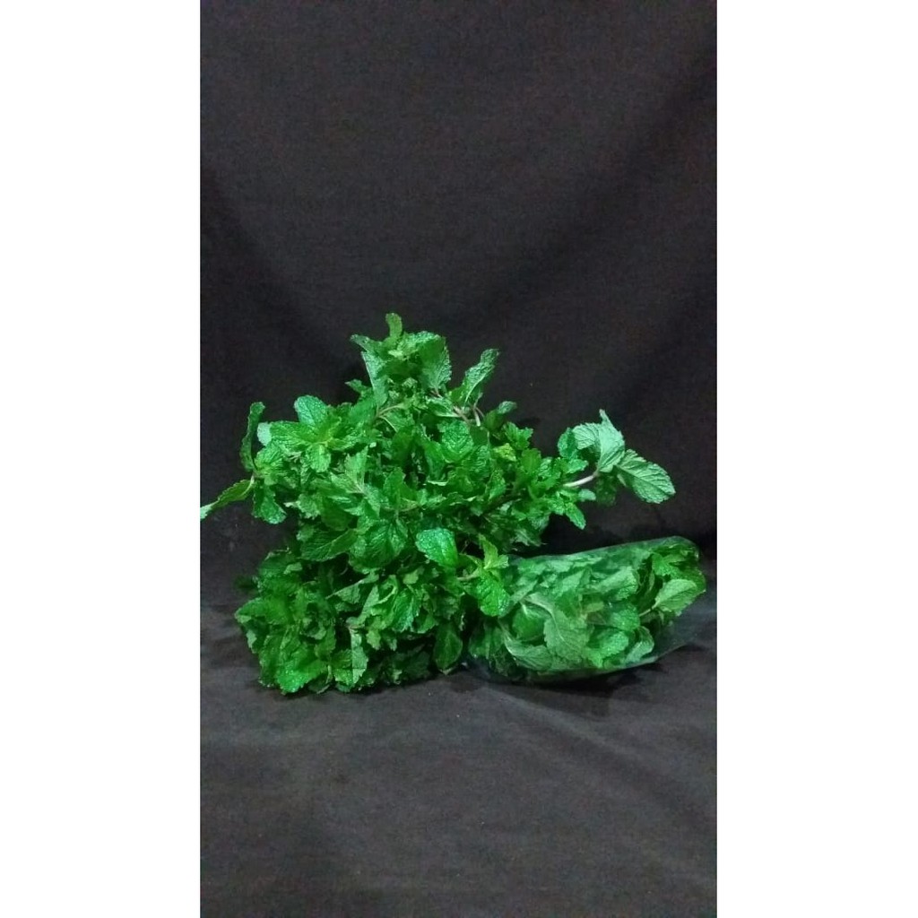 

Daun Mint 250gr