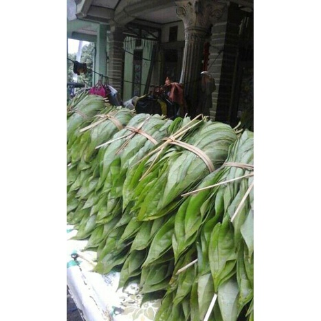 

daun sirih karo