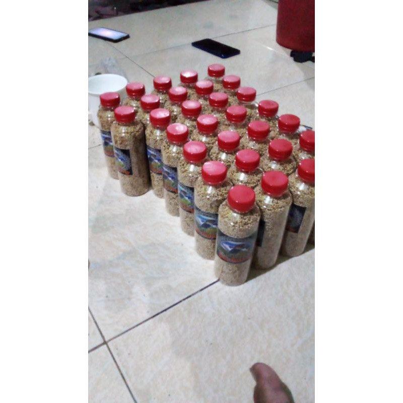 

pakanlovebird