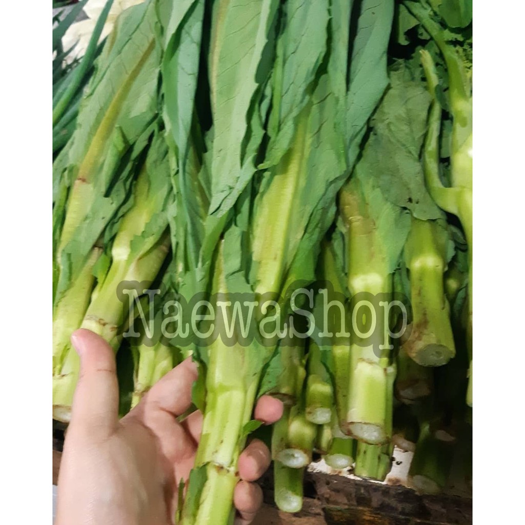 

Fumak / kumak / Fumek / Kumek Segar 500gram Super Lembang