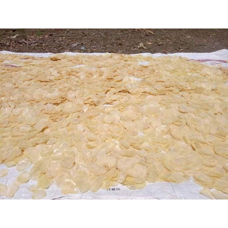 

EMPING MLINJO MENTAH 1kg = 1000gram