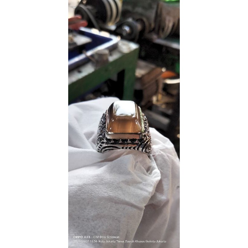 Natural bio solar Padang kotak cutting