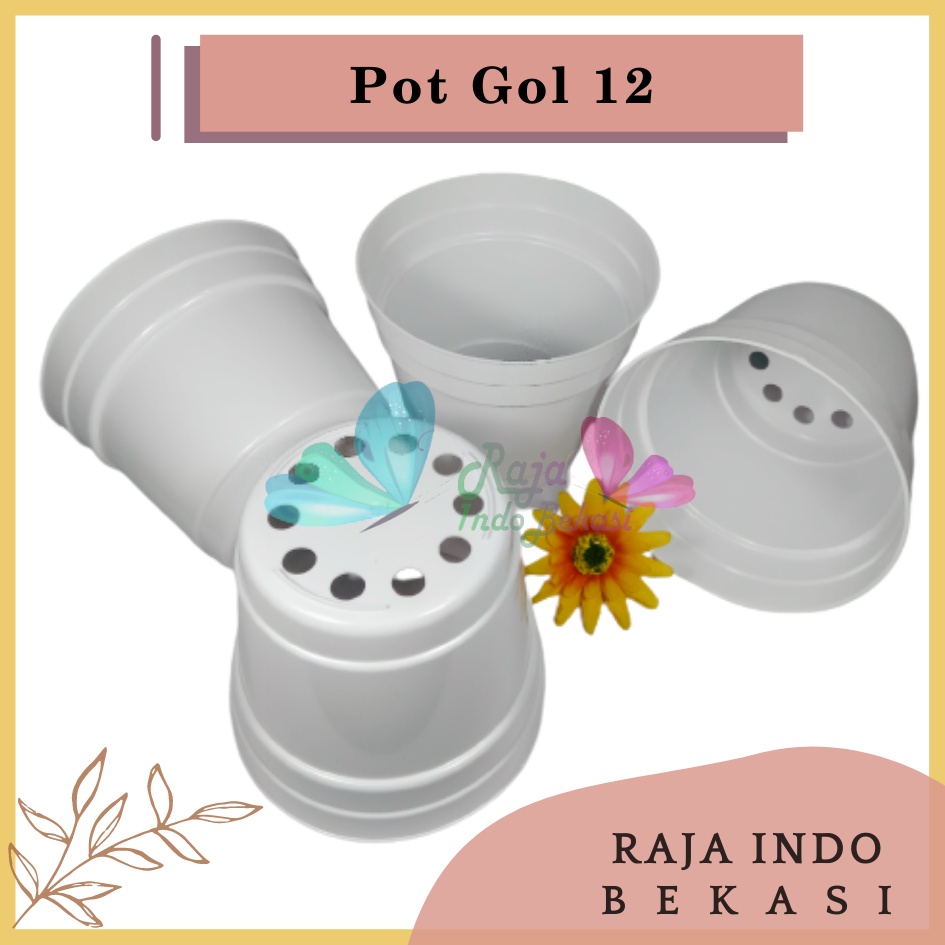 Rajaindobekasi Pot 12 Putih Polos - Pot 12 Cm Putih Kecil Mini Minimalis Plastik Kaktus Sukulen Mini Murah Pot Bibit Pembibitan