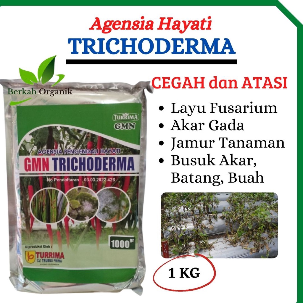 Jual Fungisida Tanaman Trichoderma Tricoderma Pupuk Organik Hayati Trichoderma Sp Shopee 