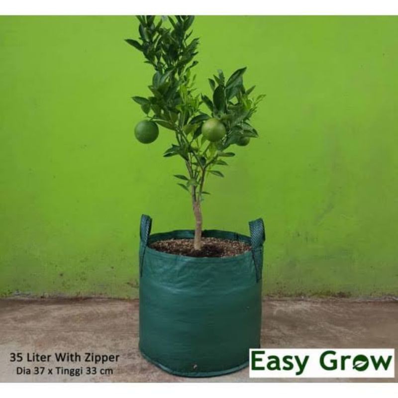 planterbag easy grow