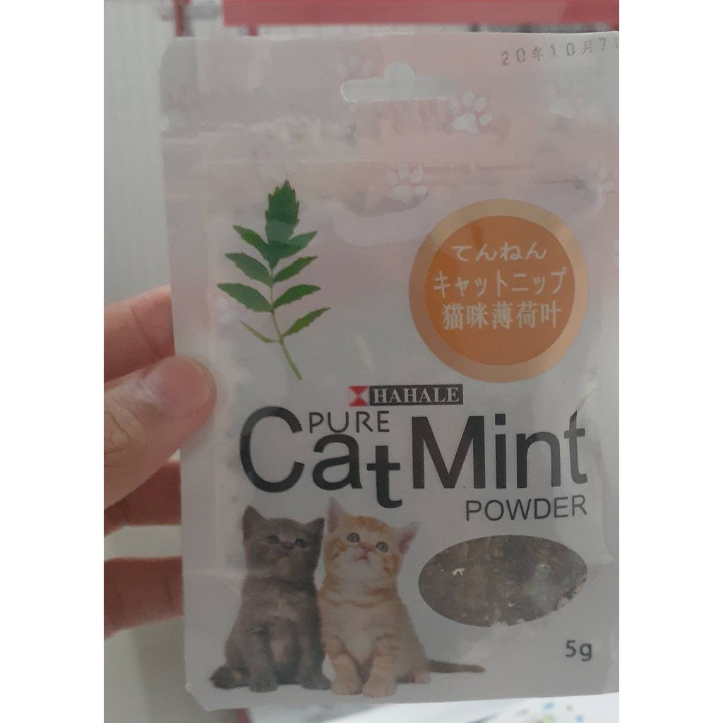 Catnip catmint cat mint - PURE CATMINT POWDER - BIKIN FLY KUCING