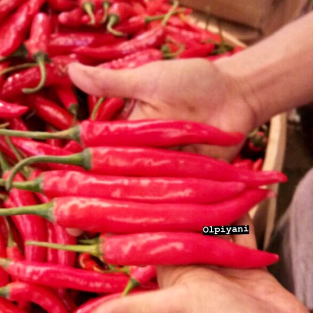 Cabe merah TW 250g