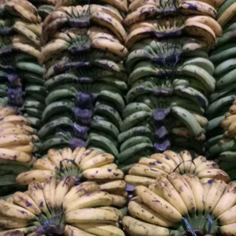

PISANG BARANGAN