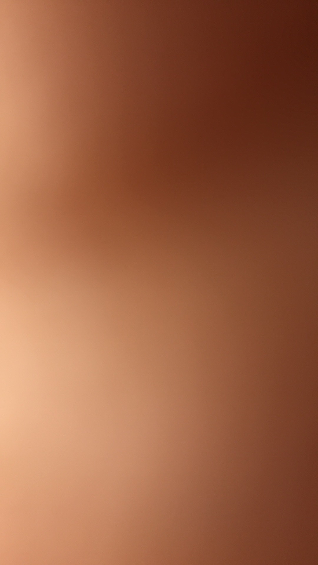 12 Pcs Piring Lidi Anyaman