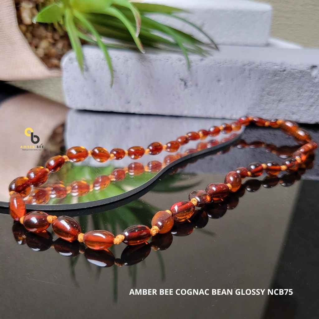 Kalung Amber Pereda Nyeri Tumbuh Gigi Anak Premium Glossy Cognac Beans NGLCB75 By Amber Bee