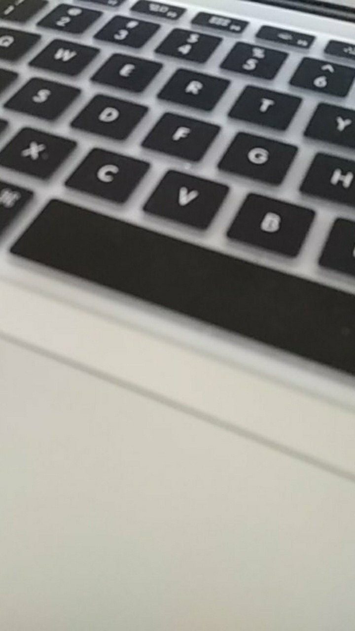 Promo Terbaru !! Tanaman Hias Sygonium Pink