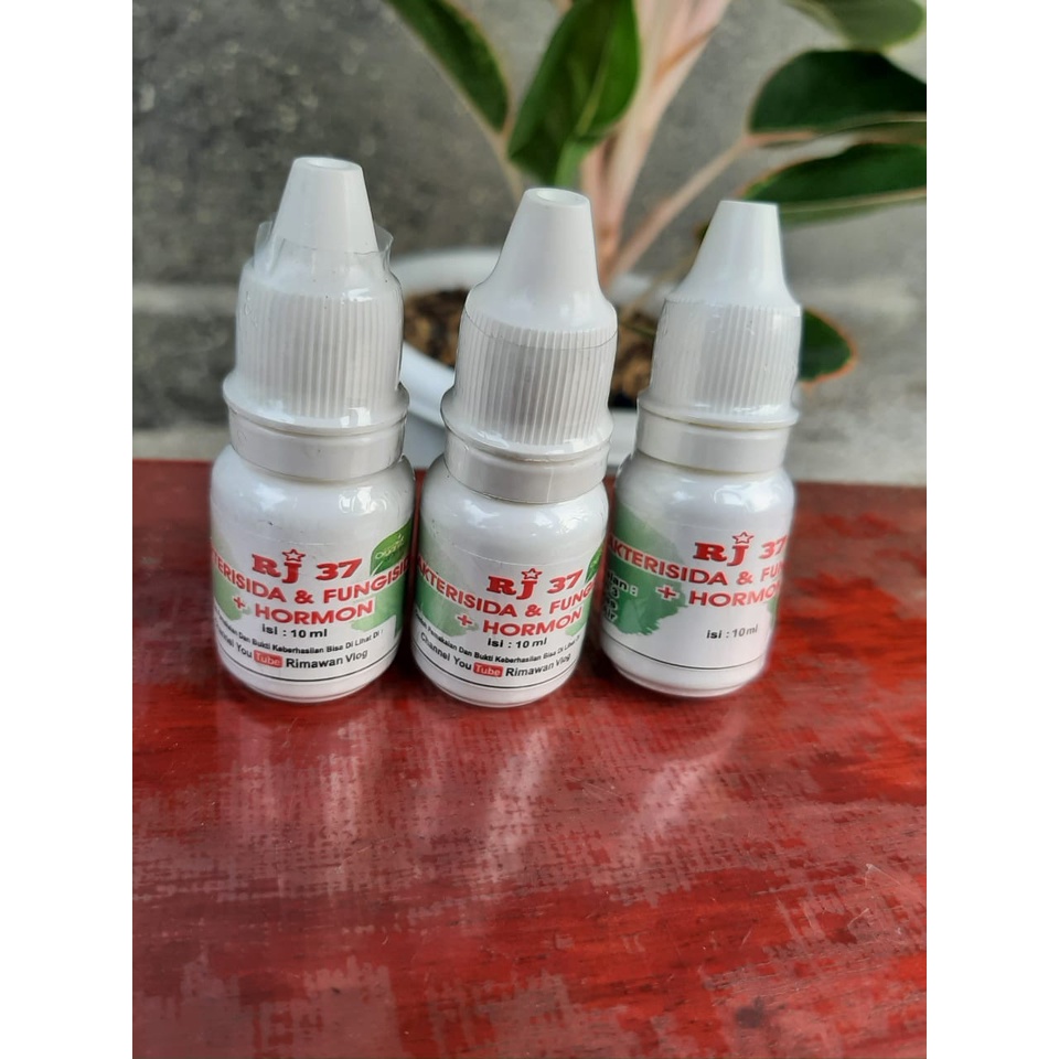 Bakterisida & Fungisida Organik RJ 37 30 ml