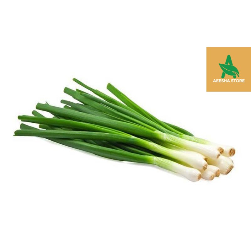 

BAWANG DAUN 100 gram - 500 gram AEESHASTORE